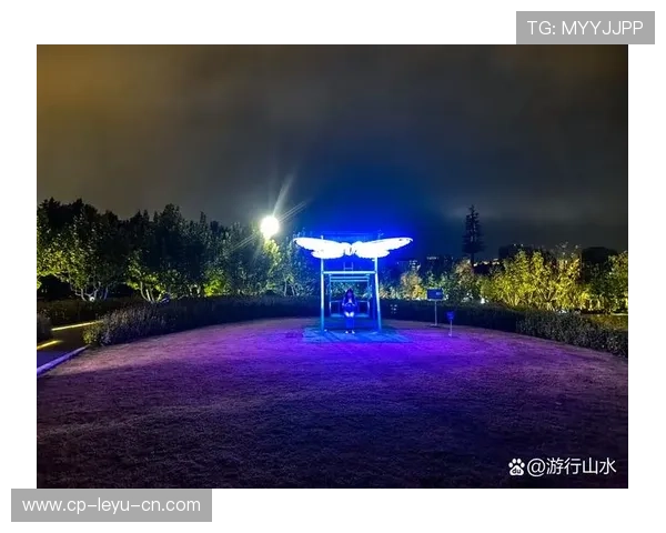 _光影灯光跑：夜晚城市的运动奇幻之旅_，2020灯光影像图