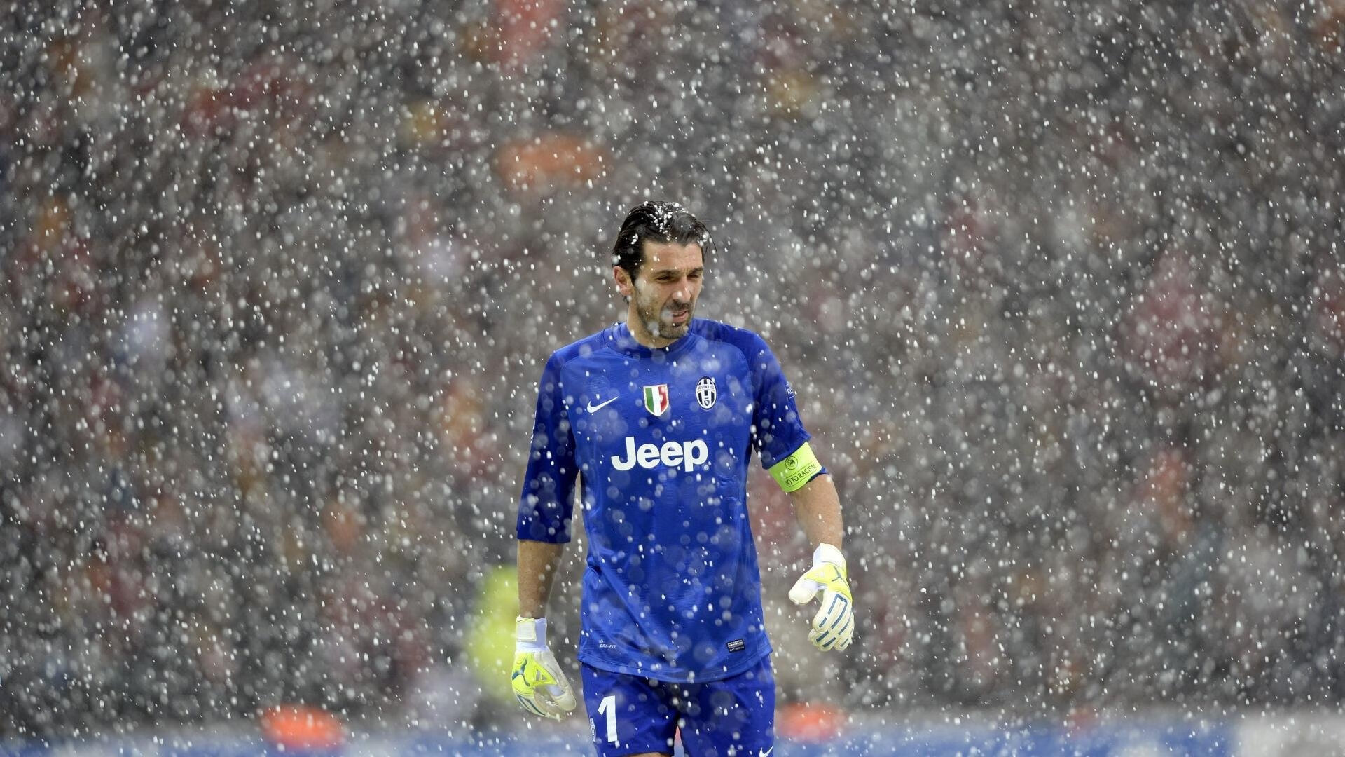 美洲杯裁判判罚案例法律分析，美洲杯裁判放大镜